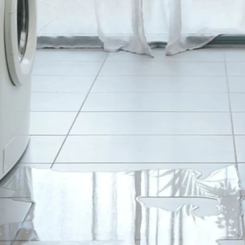 Appliance Leak Cleanup in Lauderdale County, AL