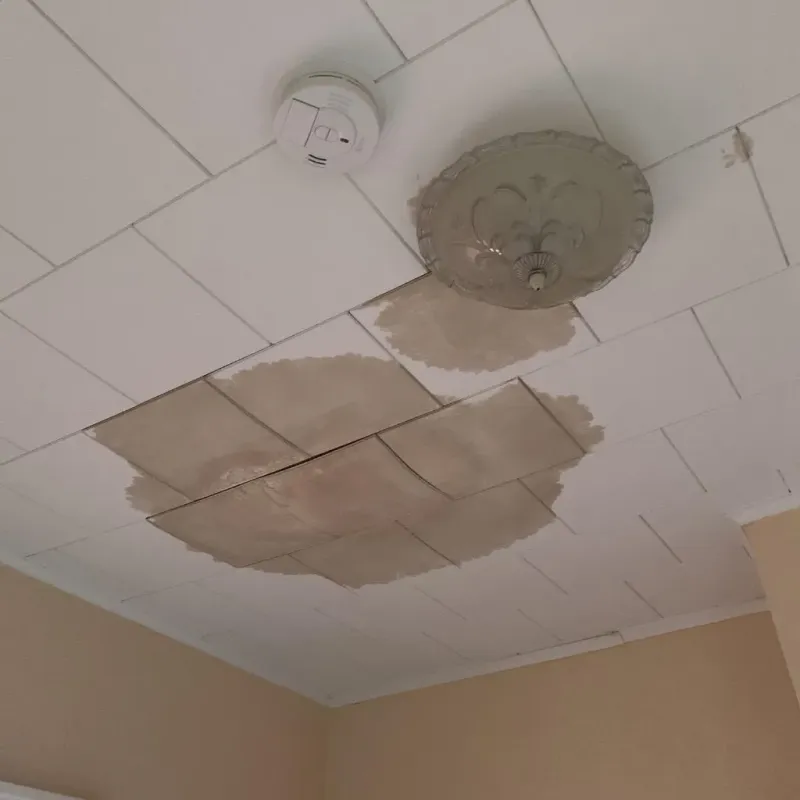 Ceiling Water Damage Repair in Lauderdale County, AL