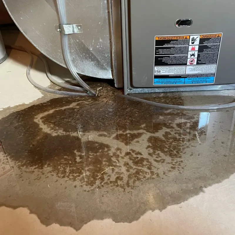 Pipe Burst and Leak Restoration in Lauderdale County, AL