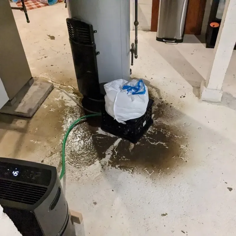 Sewage Backup Cleanup Service in Lauderdale County, AL